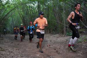 BIB: 4358, 3389
                            <button type="button" onclick="openModal(4103103)" class="btn btn-primary btn-sm float-right btn-popup" data-toggle="modal" data-target=".modal-high-quality">
                        <i class="fas fa-shopping-cart"></i> Add to Cart
                    </button>
                                            <button type="button" onclick="isThisMe(4103103, true)" class="btn btn-success btn-sm float-right btn-popup btn-isme hidden" data-toggle="tooltip" data-placement="bottom" title="นี่คือรูปของคุณใช่ไหม คลิกที่นี่เพื่อเอาเข้าอัลบั้ม">
                        <i class="fas fa-plus"></i> Add to album
                    </button>
                    <button type="button" onclick="isThisMe(4103103, false)" class="btn btn-warning btn-sm float-right btn-popup btn-isnotme hidden">
                        <i class="fas fa-ban"></i> Remove from album
                    </button>